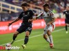 FCD_0674