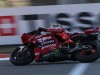 MGP_5323