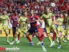 BAS_2739