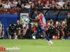 BAS_7239