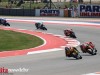 GPR_0239