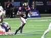 Shrine-Bowl-2-1-24-3