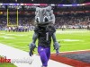 Alamo-Bowl-USC-vs-TCU-149