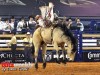 American-Rodeo-101