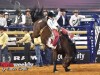 American-Rodeo-105