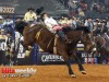American-Rodeo-106