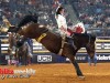 American-Rodeo-107