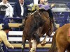 American-Rodeo-112