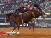 American-Rodeo-123