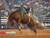 American-Rodeo-125