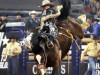 American-Rodeo-129