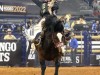 American-Rodeo-130
