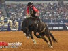 American-Rodeo-134