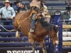 American-Rodeo-137