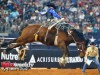 American-Rodeo-14