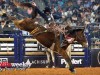 American-Rodeo-141