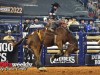 American-Rodeo-14o