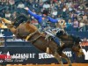 American-Rodeo-18