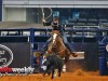 American-Rodeo-22l