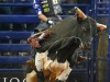 American-Rodeo-46