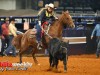 American-Rodeo-51
