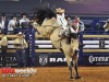 American-Rodeo-5j