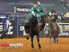American-Rodeo-95
