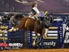 American-Rodeo-9a