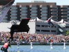 img_6657jpg_9958535445_o