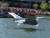img_7263jpg_9958977496_o