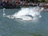 img_7265jpg_9958954944_o