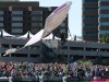 img_7390jpg_9959003306_o