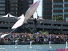img_7392jpg_9959090933_o