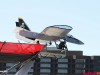 img_7480jpg_9959100883_o
