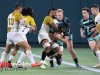 Jackals-vs-Nola-Gold-3-23-24-100