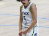 Lynx-vs-Wings-40