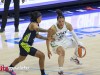 Lynx-vs-Wings-60