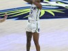 Lynx-vs-Wings-70