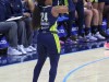 Lynx-vs-Wings-73