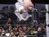 Masked-Mania-Frisco-5-15-26-133