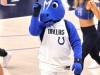 Grizzlies-vs-Mavs-24