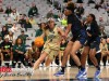 Memphis-vs-South-Florida0087