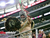 Mexico-vs-Iceland-13