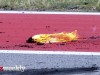 COTA-Day-2-188