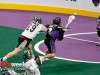 Panther-City-vs-Calgary-2-20-22-31