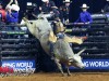 PBR-2024-Dallas-10