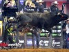 PBR-2024-Dallas-113