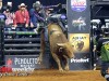PBR-2024-Dallas-39