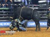 PBR-2024-Dallas-56