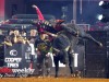 PBR-2024-Dallas-84